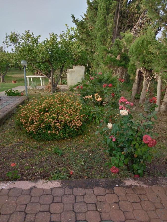 Appartamento In Orosei In Villa Delle Arance 300Mt Dalla Spiaggia מראה חיצוני תמונה