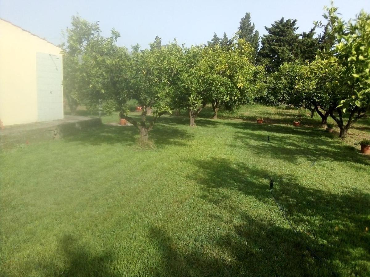 Appartamento In Orosei In Villa Delle Arance 300Mt Dalla Spiaggia מראה חיצוני תמונה