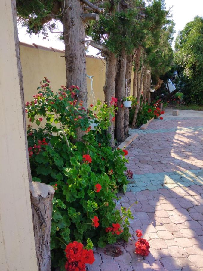 Appartamento In Orosei In Villa Delle Arance 300Mt Dalla Spiaggia מראה חיצוני תמונה